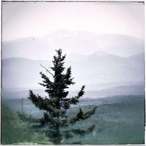 everythingwecomeacross: Mountain view. #douglasshill #maine #whitemountains #canonpointnshoot #eyefi