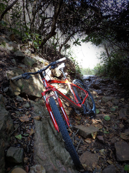 ciclotrip:  down the hill