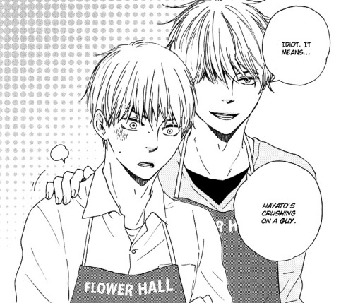 Yaoi Crave