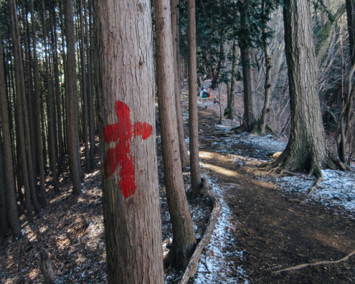 winter hike