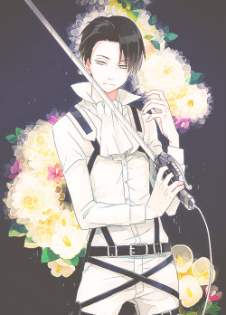 kouhakuu:  Lance Corporal Rivaille      