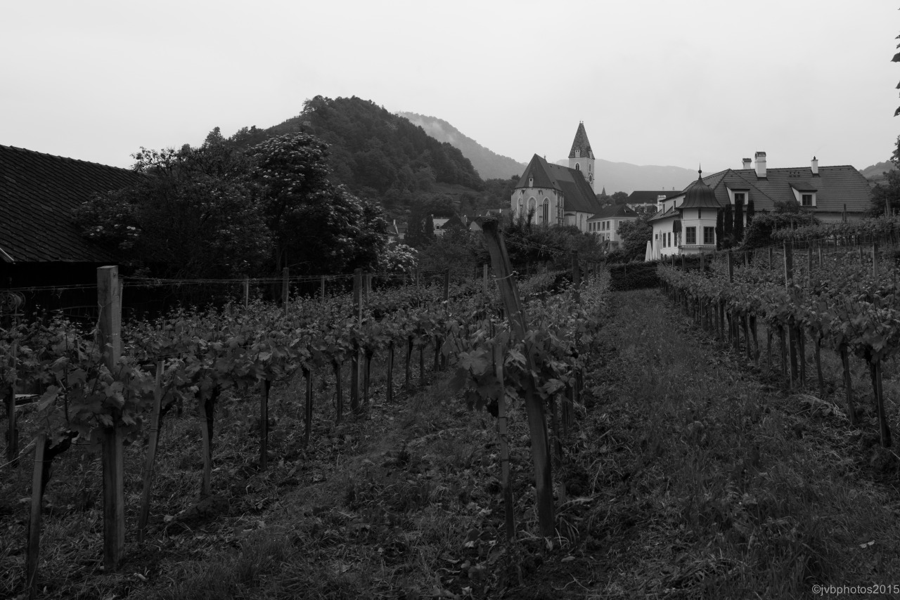 jvbphotos:
“ weingut franz hirtzberger / spitz // austria /// 2015
in a scene taken from a history text of europe circa 1879…. but seriously this is just last may. these are exceptionally old vineyards in austria’s wine country; tended by hand,...