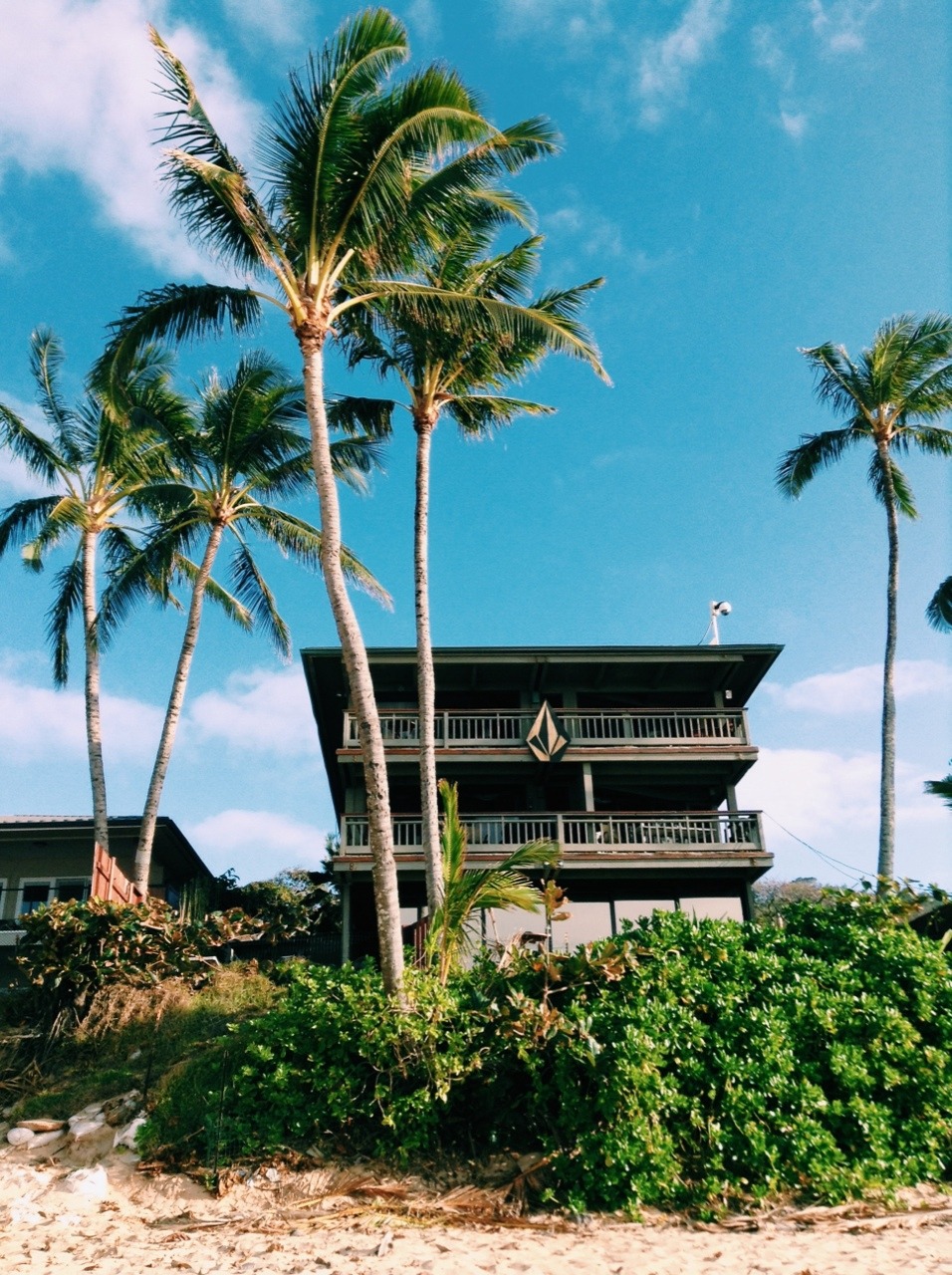 treehugggab:Volcom house 