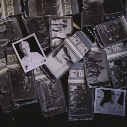 Polaroids of David Byrne - Bonnaroo 2013 www.dannyclinch.com