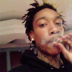 WeedPornDaily Tumblr