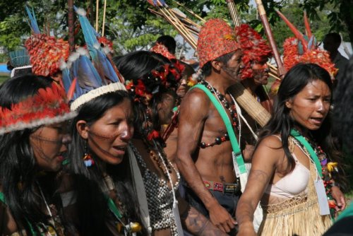 thepeoplesrecord: One environmental activist is killed each week trying to save the Amazon rainfores