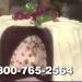 chongoblog:emmablowguns:baked alaska