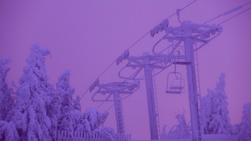 Purple haze at Stowe this morning. 