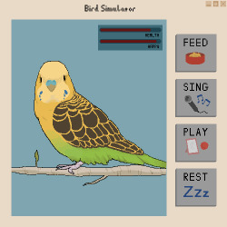 hnnhlcy:  Bird simulator 