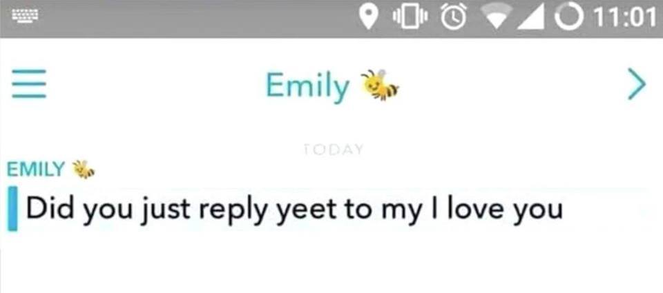 🐄⛷