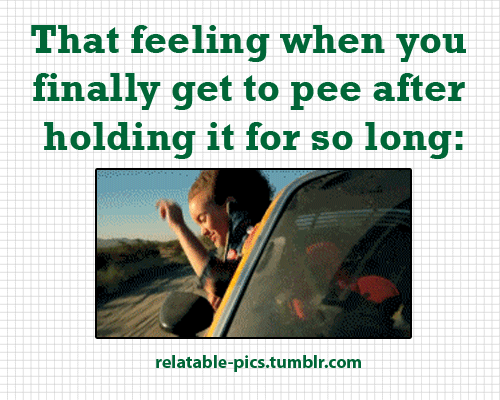 Just Funny Pictures