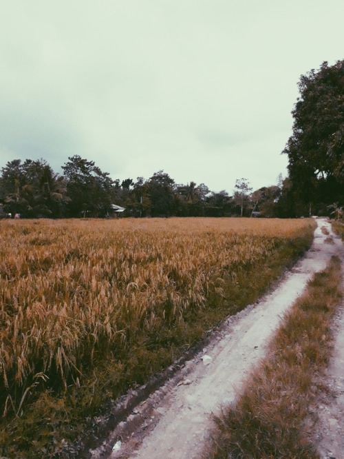 New year sa bukid. Happy new year everyone!