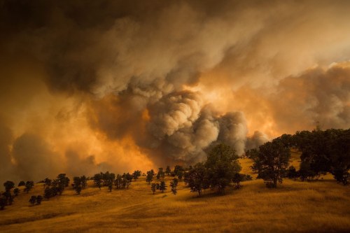 It&rsquo;s not just the Arctic that&rsquo;s burning A couple of days ago we shared some sate