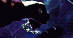 bahtmun:  Harry Potter Challenge: Magical Objects 