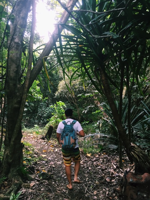 siabrooks:  We are back at it @waialae #hikingcouple