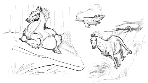 Old sketches&hellip;   I&rsquo;m still developing this froggy horsey ✍️