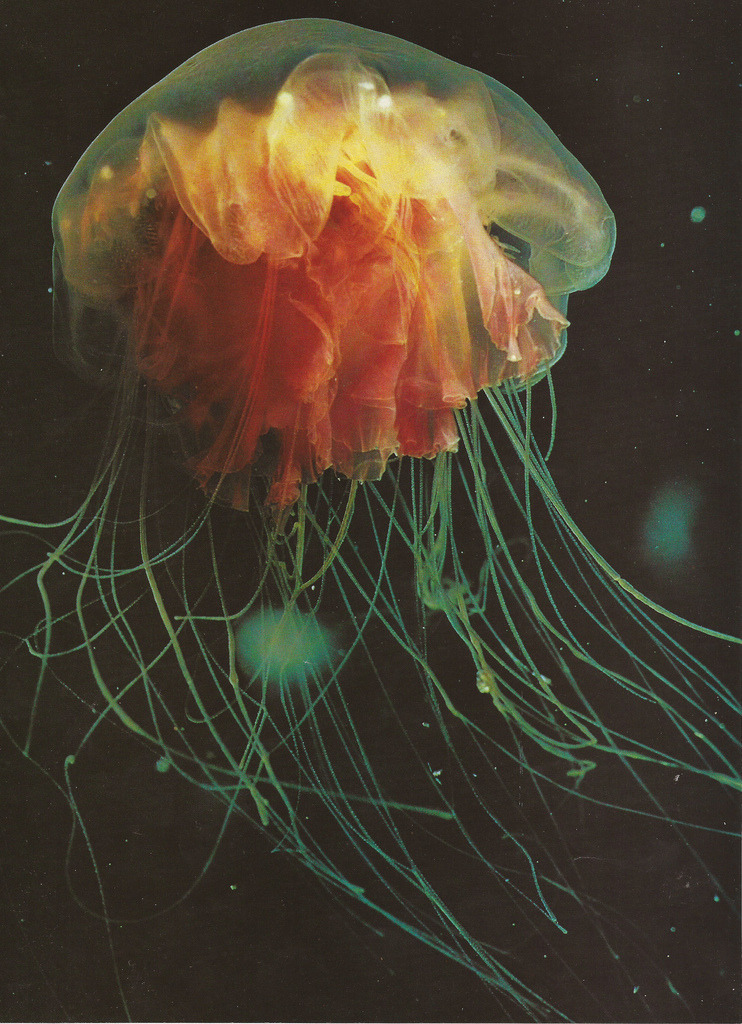 brutalgeneration:  (by [erinalise]) 