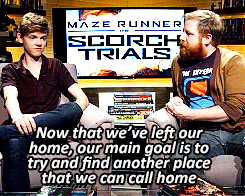 dystopianheroes:  The Maze Runner: Scorch Trials - Beyond SurvivalBonus: