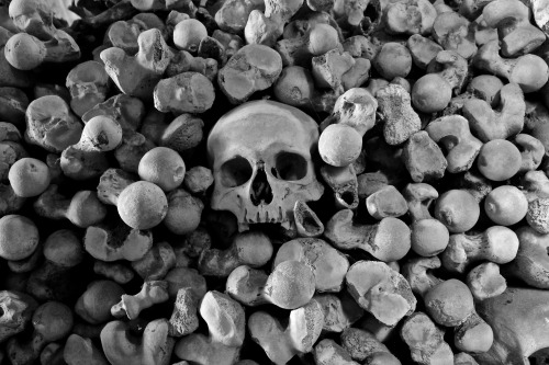 spookyvonstrange:St. Leonard’s church in Hythe, Kent has one of the only two Ossuaries in Britain.Is