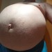 bauchfan:my stomach is round as a ball this morning