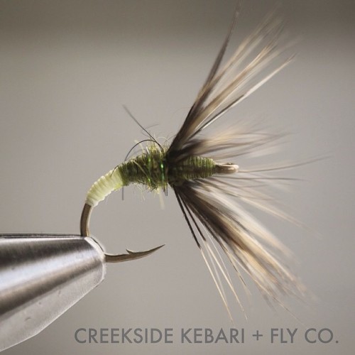 creeksidekebari: We introduced the Lightning Bug luminous Kebari in late winter in anticipation of w