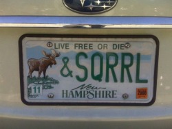 sparkleholethess:  Oh New Hampshire. 