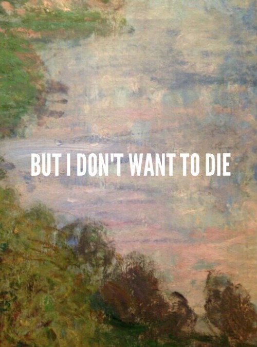 tru-ce:vampire weekend // monet