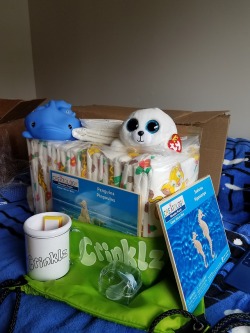 littlebluesheep:  My stuff from @werenotadulting‘s giveaway came in the mail today!! I’ve got a new paci and a cute stuffie with big eyes that stare directly into your soul and bath toys and wooden puzzles. Oh! And @rearzinc Safaris!Thank you so much!!!