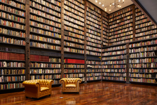 Stony Island Arts Bank, Chicago. Image: Tom Harris © Hedrich Blessing. Courtesy of Rebuild Foundatio