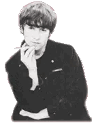 Collection Of (some) Beatle Blinkies, Pixel Gifs, And Animated Stamps I Found