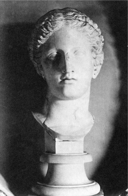 hismarmorealcalm:Head of Aphrodite  5th century B.C.