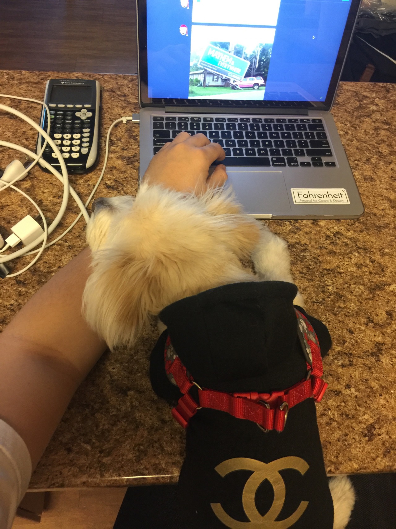 asian:  She always lay her head on my arm and stare into space