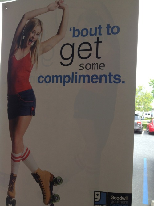 thesonicscrew:  zillybooradley:  brachiotomy:  So I went to Goodwill today and  they saw an opportunity and they took it.  I’d have been disappointed if they didn’t to be honest