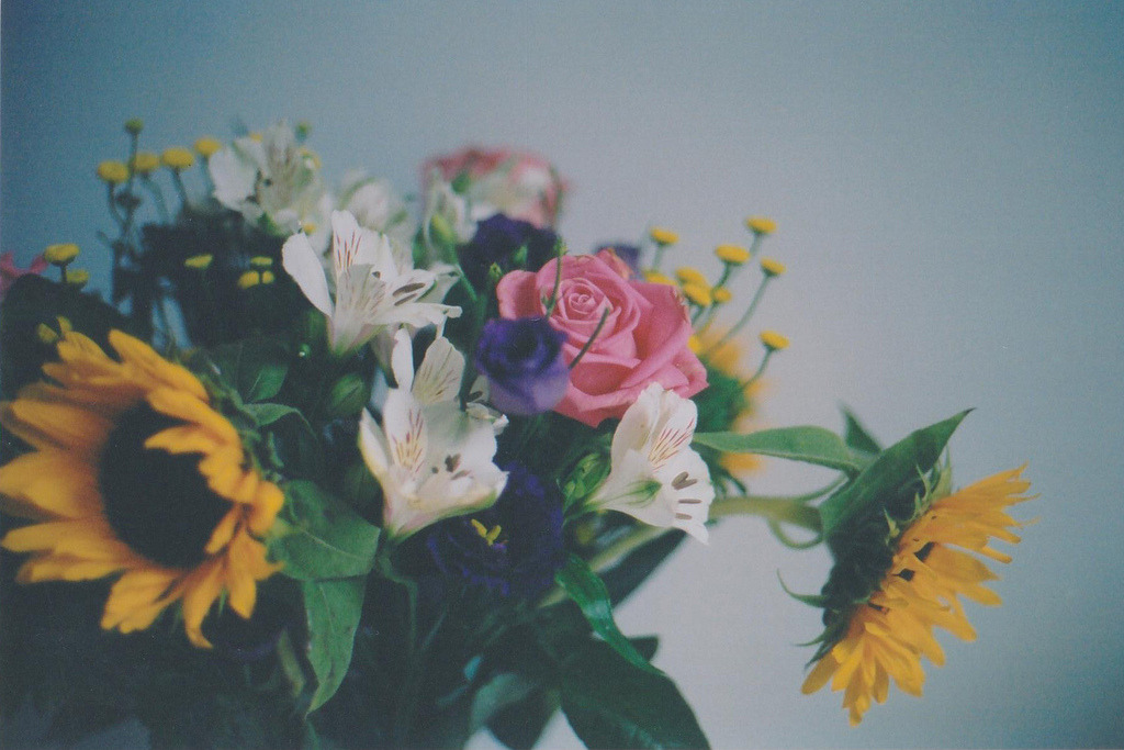 jacindaelena:     by emily*w   