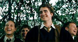HarryPotterOnlines 10k Followers Celebration | Favorite Male Character - Cedric Diggory (8/10)