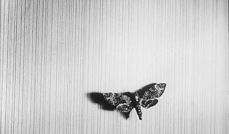 midnightmurdershow:  Un Chien Andalou (1929) Directed by Luis Buñuel  