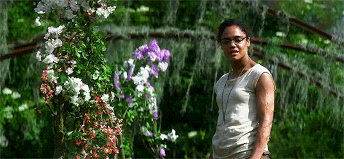 pattyjenkins:   Annihilation (2018) dir. Alex Garland