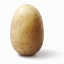codingcutepotato