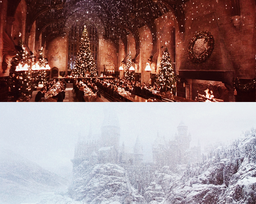 hp-picspam:  “The Great Hall looked magnificent. Not only were there a dozen frost-covered Christmas