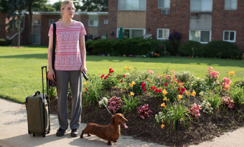 My 60 Favorite Films of 2016, So Far (As of 10/01/16):43. Wiener-Dog, dir. Todd Solondz