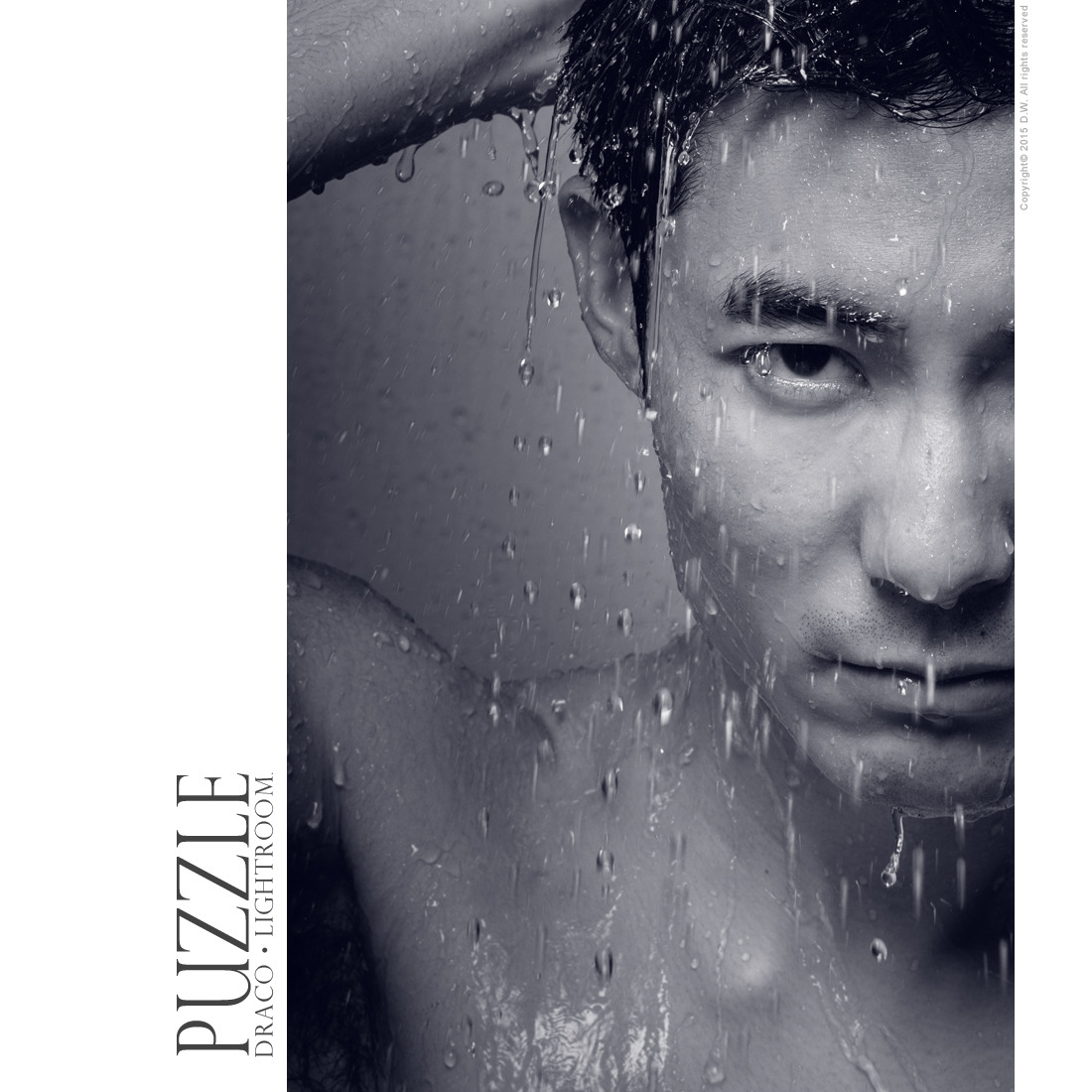 Leo  |  PUZZLE  |  Draco . Lightroom