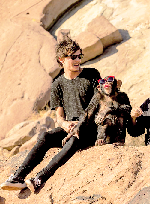 sstyles:  + 