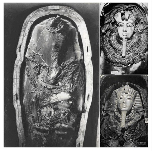 thehereticpharaoh:The mummy of Tutankhamun inside his solid gold coffin covered by a sheet and flora