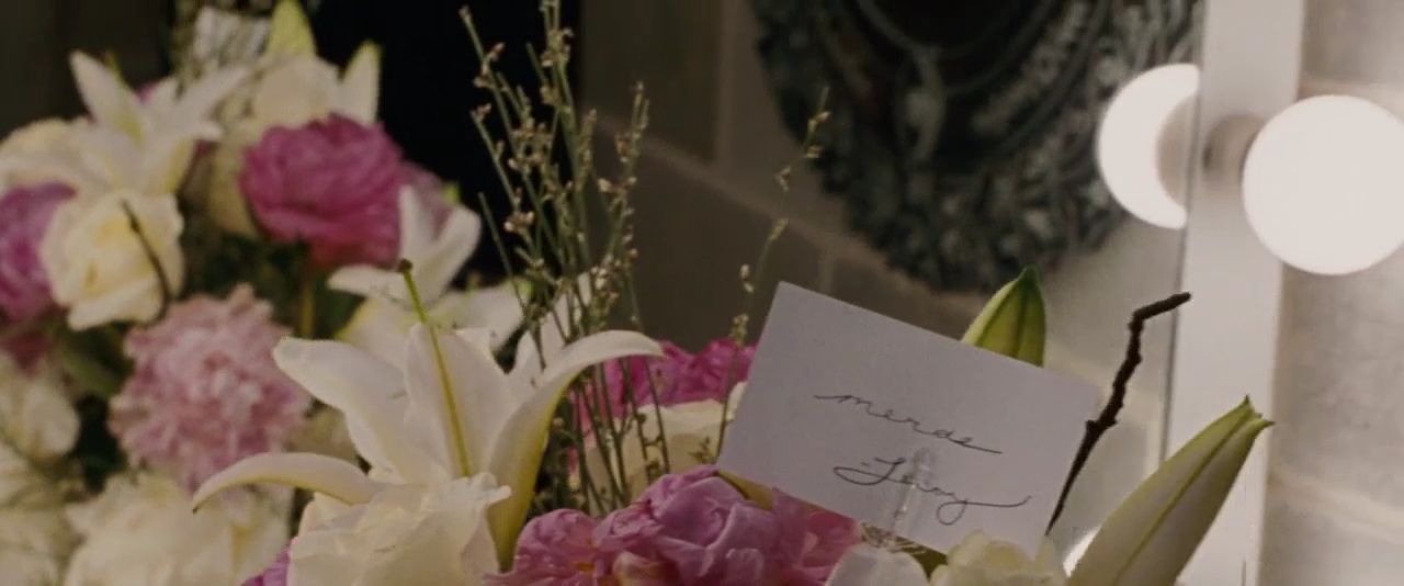 barricklovesmovies:Black Swan (2010)dir. Darren Aronofskydop: Matthew Libatique