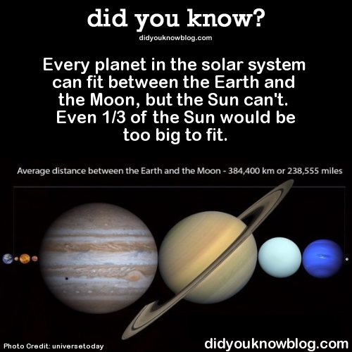 XXX did-you-kno:  Every planet in the solar system photo