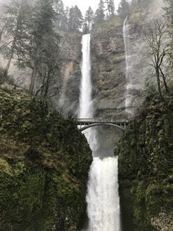 jrmyers2010:I hiked to the top of this waterfall today. =) I like the multnohma falls