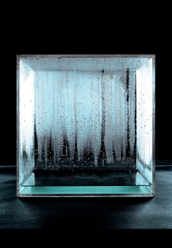 likeafieldmouse:  Hans Haacke - Condensation