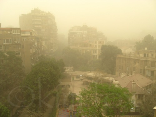 Cairo Life :: Khamaseen I wanted to go for a bike ride this morning, but it’s not such a good idea w