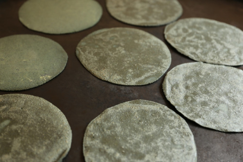 Blue Corn Tortillas