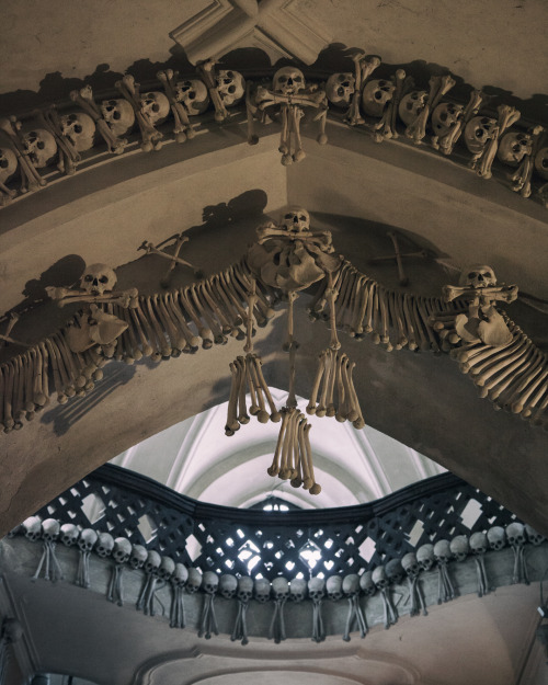 dariaendresen: Sedlec ossuary, Kutná Hora porn pictures